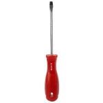 گوشتی دوسو رونیکس مدل RH 2770